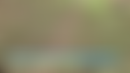 Zottelige & Pannonische Wicke der Familie Leguminosen