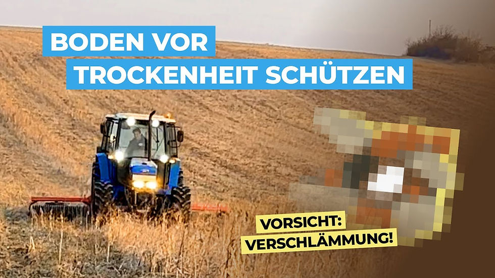 Wie kann ich meinen Boden vor Trockenheit schützen?