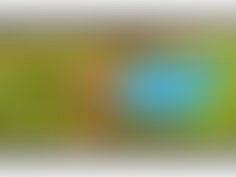 Können lebende grüne Pflanzen durch ihre Wurzelausscheidungen den Humusaufbau und das Bodenleben fördern?