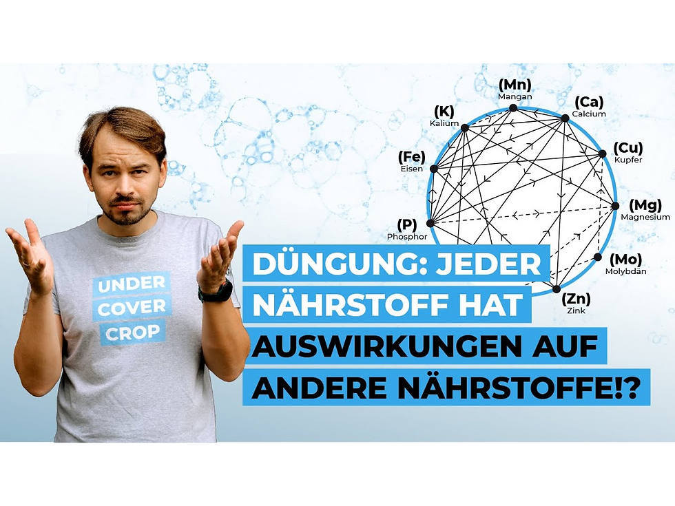 Wie kann ich die Nährstoffverhältnisse und deren Interaktionen im Ackerbau steuern und damit meine Pflanzenernährung optimieren?