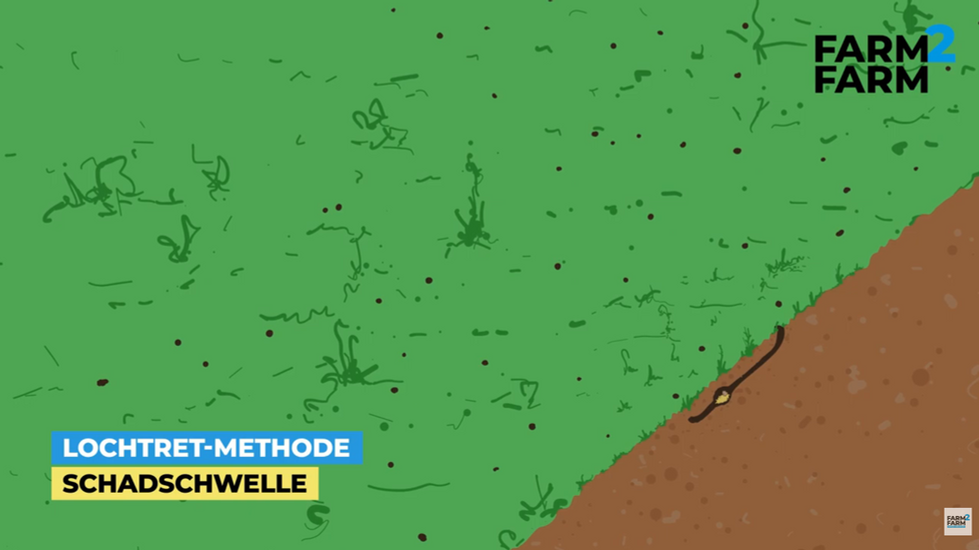 1. Schritt der Lochtret-Methode: 250 qm große Testfläche markieren