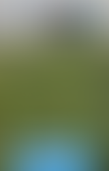 Zwischenfrucht-Ziele erreichen 