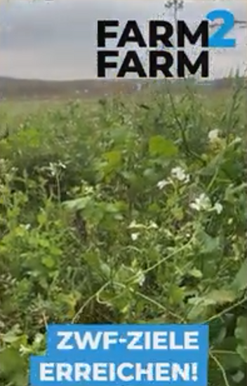 Zwischenfrucht-Ziele erreichen 