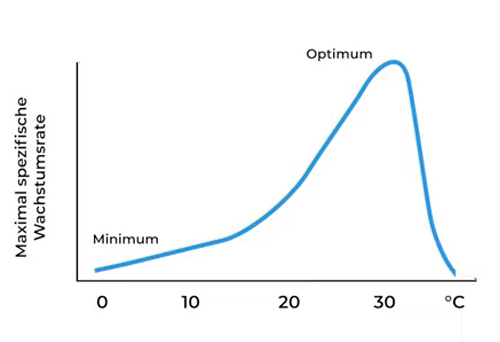 Ab dieser Temperatur zersetzen sich Mikroben
