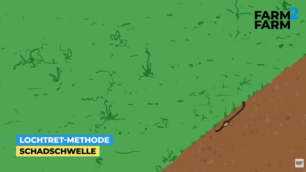 2. Schritt der Lochtret-Methode: Alle sichtbaren Löcher zu treten