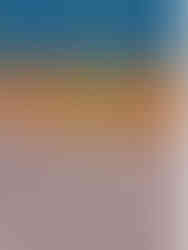 Staunässe verschlämmt die Poren und verhindert einen Gasaustausch