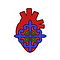 yolotsin logo.jpeg