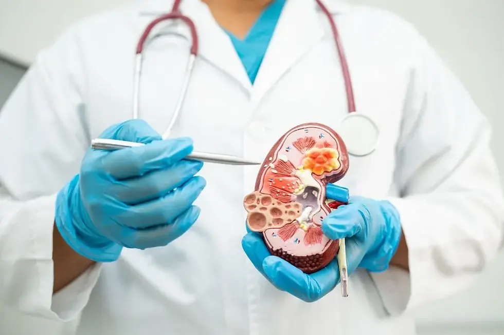 Nephrology.webp