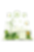 img20.png