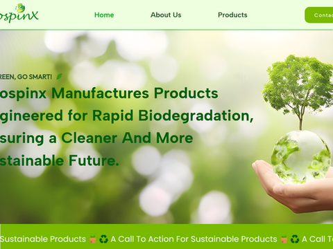 Website Design