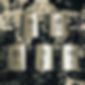 17960968390339009.jpg