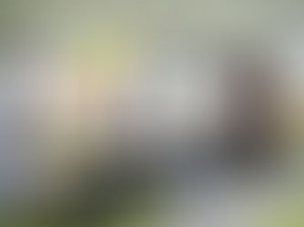 Dalton Alumni Reunion