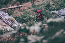 Nepal