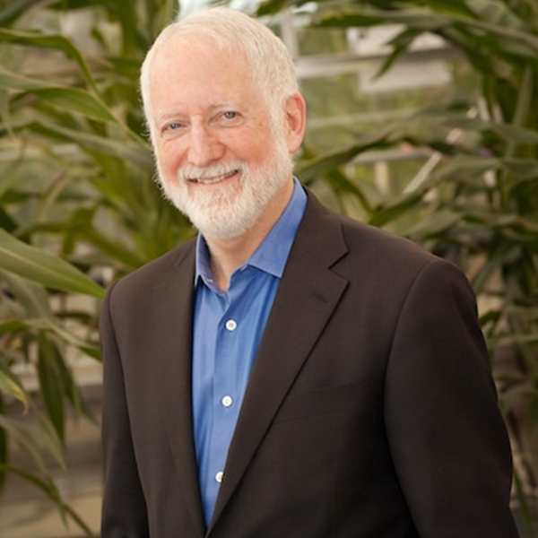 Neal Gutterson