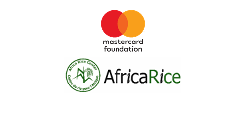 Plus de 5 000 acteurs de la filière riz au Sénégal bénéficient d’un projet axé sur les jeunes  