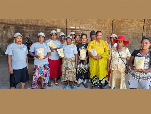 Collective action and perseverance pay off for women rice farmers in Madagascar