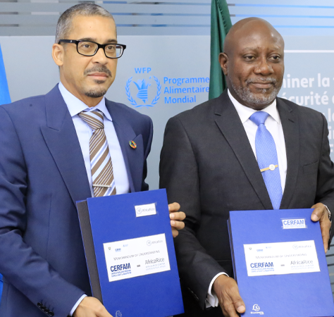 AfricaRice and CERFAM join forces to support African countries to end hunger