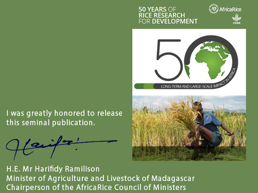 Release of new AfricaRice publication commemorating 50 years of rice innovation and impact