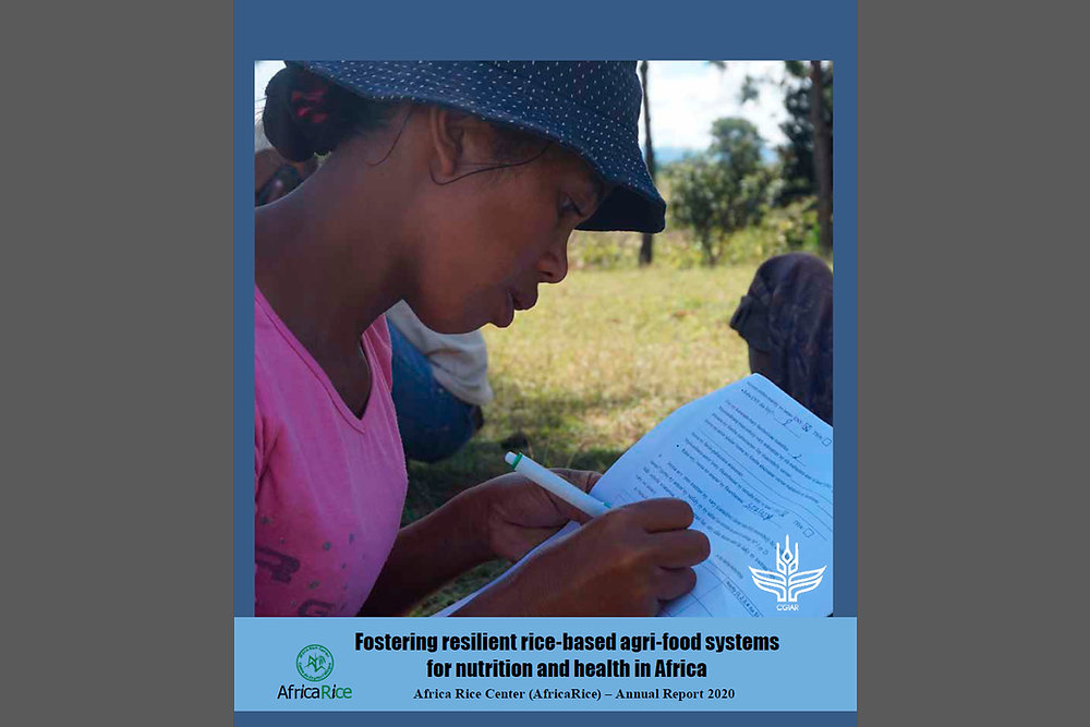 AfricaRice shines spotlight on resilient rice-based agri-food systems ...