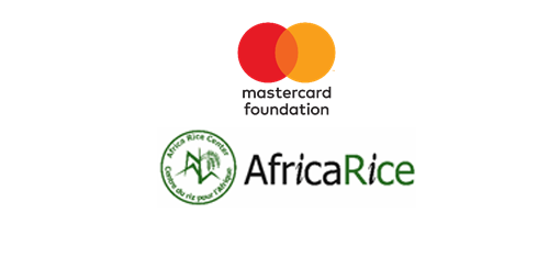 Over 5000 rice value chain actors in Senegal to benefit from youth-focused COVID-19 response