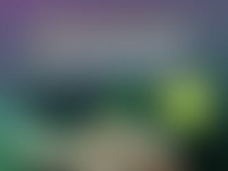 Commemoration of the 2nd International Day of Plant Health