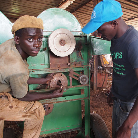 Les innovations dans la chaîne de valeur du riz offrent davantage d’opportunités d’emplois aux jeune