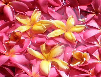 20110823_269_edited_edited.jpg