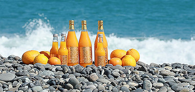 みかんジュース｜道の駅パーク七里御浜| 三重県御浜町