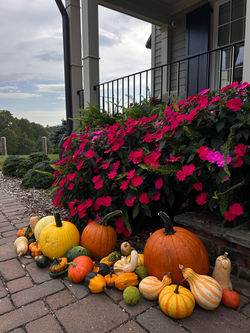 Pumpkins and Gourds