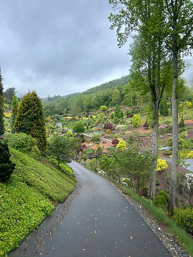 Walking Tour | arborcrest