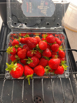 Strawberry 'Seascape'