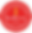 Primo Logo.PNG