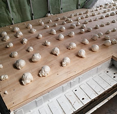 Campervan Insulation