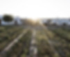 craveiral-farmhouse-by-belong-staying-and-feeling-gallerycraveiral-portugal-photo-martin-k