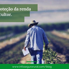 Cresce apoio à proteção da renda do agricultor, comemora Xico Graziano