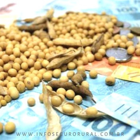 Altos custos de produção da safra 2019/2020 devem reduzir ainda mais margem de produtor