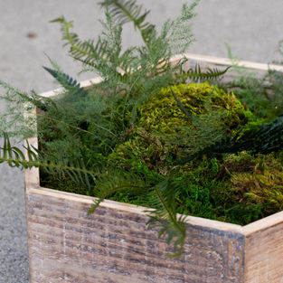 Custom Wall Moss Art