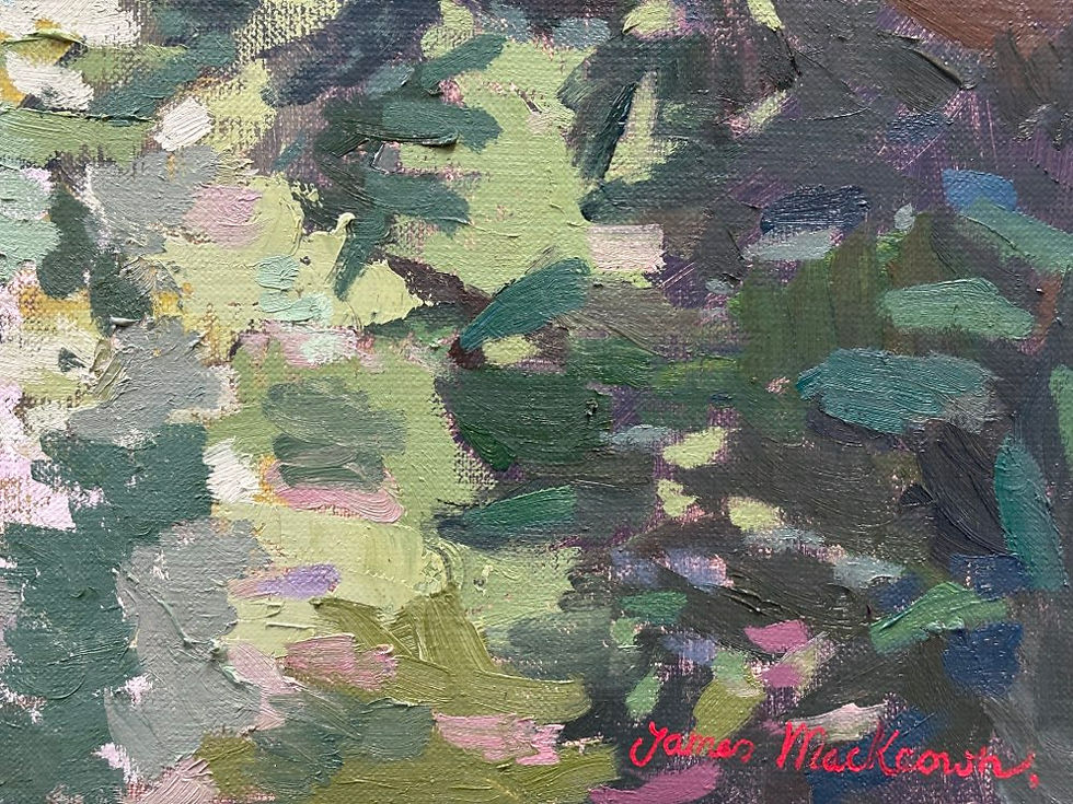 Thumbnail: Les rosiers 