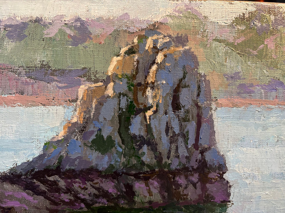 Miniature : La roche des oiseaux 