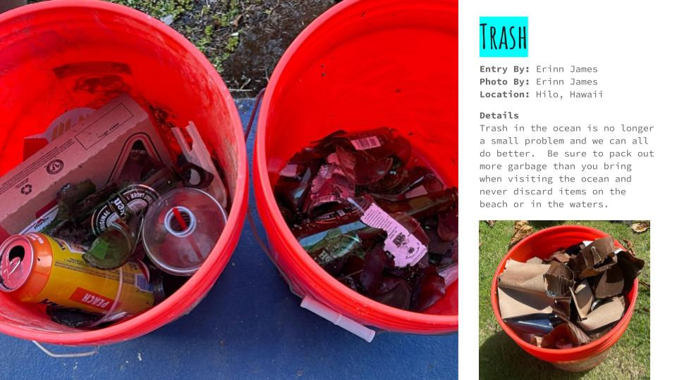 Human Interaction With the Ocean