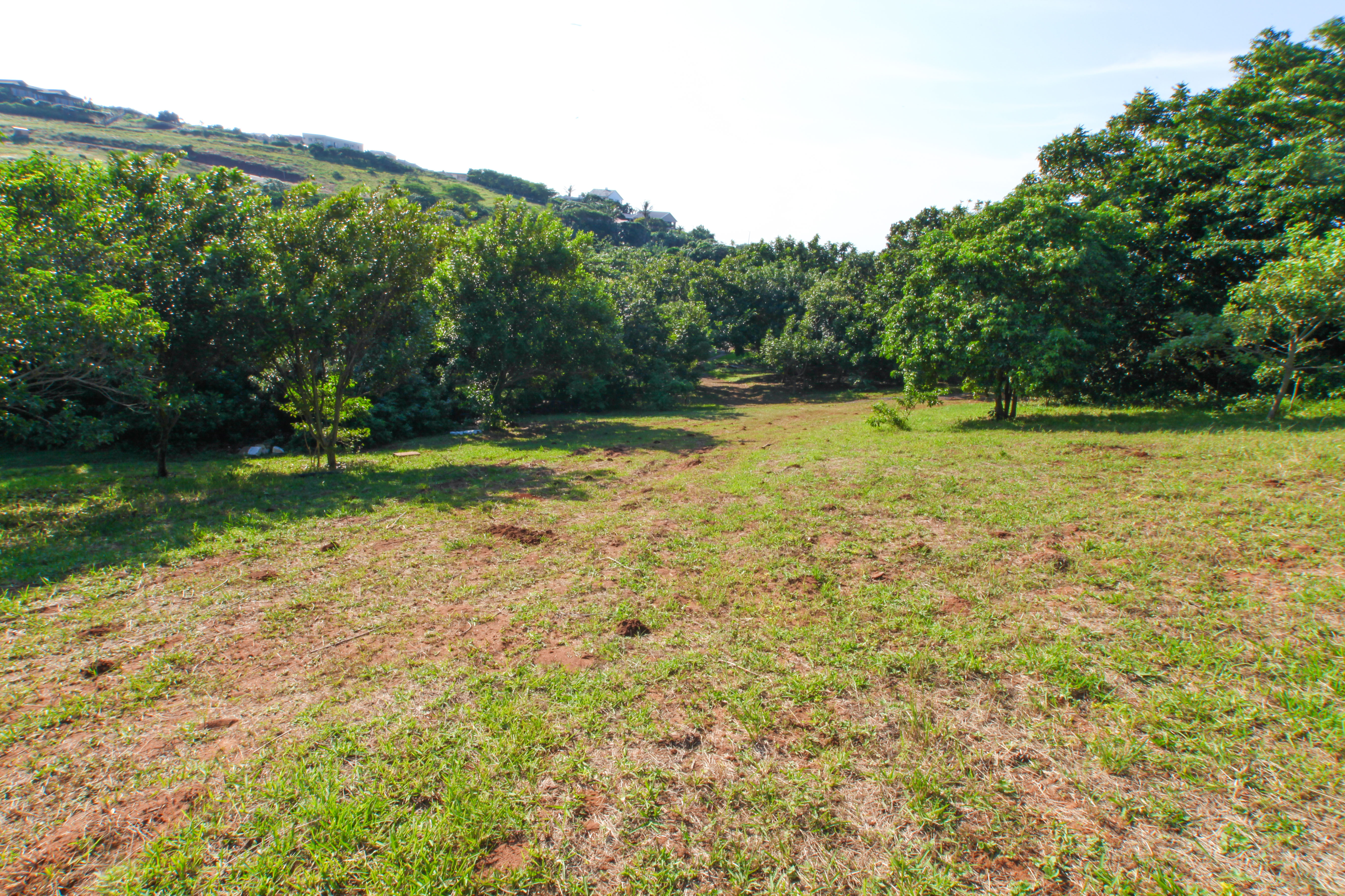 Plot 17 / 760