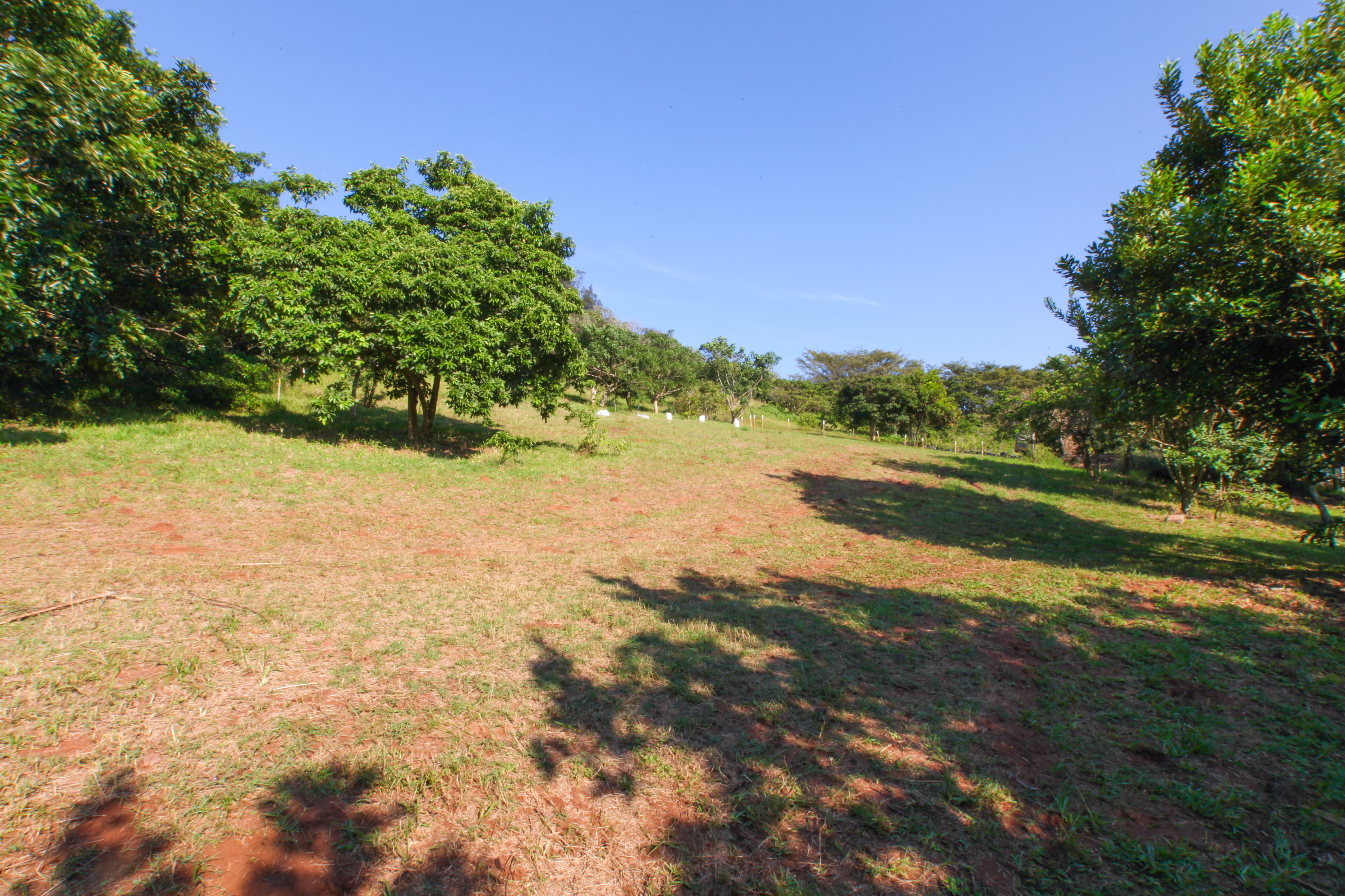 Plot 17 / 760