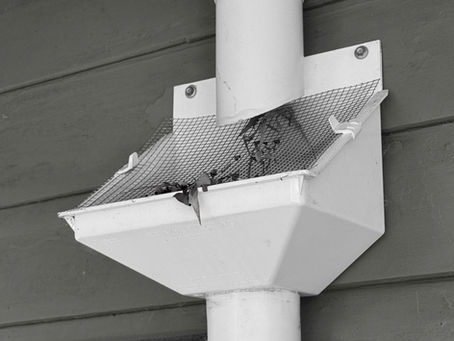 Before heavy rainfall: Do this for gutters & stormwater