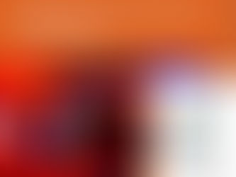 Als Experte bei der MRI Fortbildung