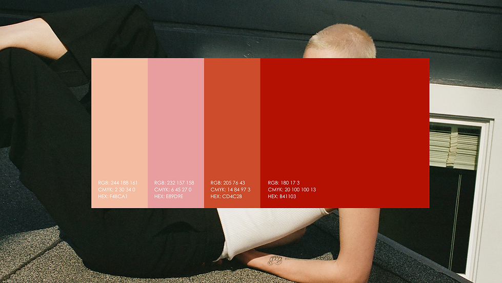 DP-Frame-1920x1080 (1).png