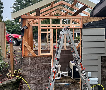 shed remodel
