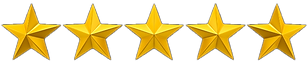 review-yellow-gold-5-stars-image-png-701751694514962jykiggt8xp_edited_edited.png