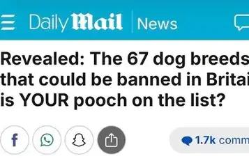 Are We Really About to Ban 67 Dog Breeds?
