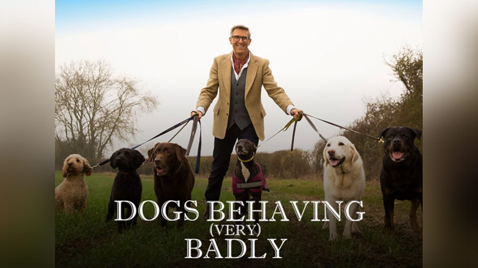 Dogs Behaving (Very) Badly — What Are We Actually Watching?