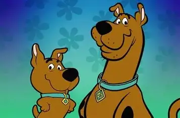 Ruh-Roh! Here We Go Again: Why the New Scooby-Doo Film Makes Dog Trainers Nervous
